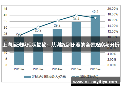 上海足球队现状揭秘：从训练到比赛的全景观察与分析