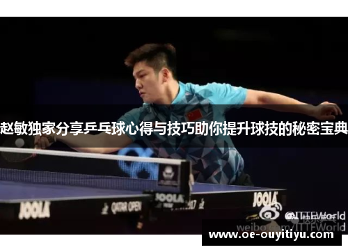 赵敏独家分享乒乓球心得与技巧助你提升球技的秘密宝典
