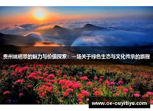 贵州姚明翠的魅力与价值探索：一场关于绿色生态与文化传承的旅程
